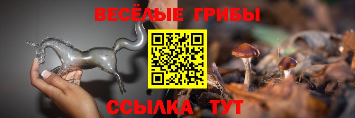 Галлюциногенные грибы GOLDEN TEACHER Ялта